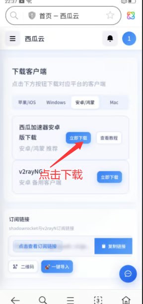 下载并安装软件